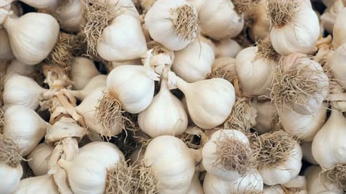 Nahaufnahme von Knoblauch auf weißem Hintergrund