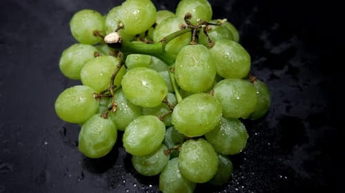 Green Grapes with Drops of Water on a Black Background Rotation
