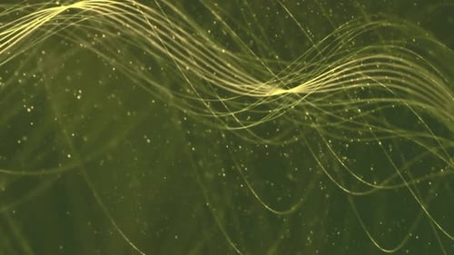 Colorful Glittering Lights And Particles Loop