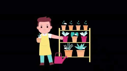 A Boy Selling Flowers In A Pot Alpha Channel 4k