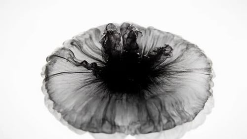 Black Ink Threads
