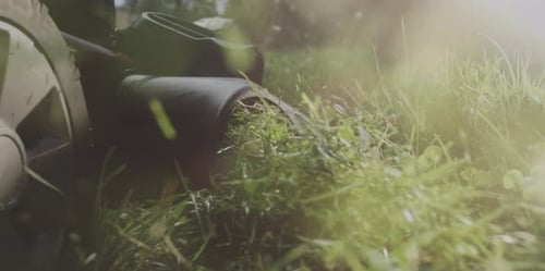 Grünes Gras mit einem Rasenmäher schneiden