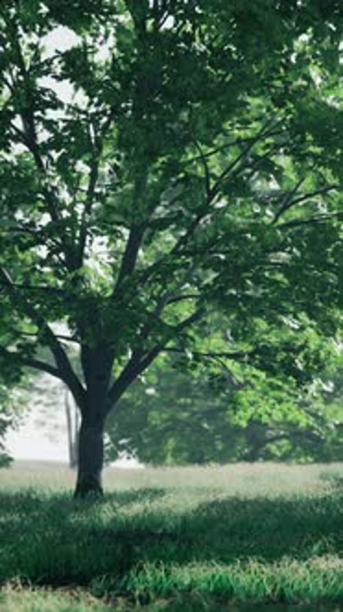 A Solitary Tree Standing Tall in a Lush Green Field