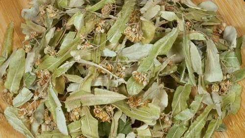 Dried Linden Flowers and Leaves on Wood Surface
