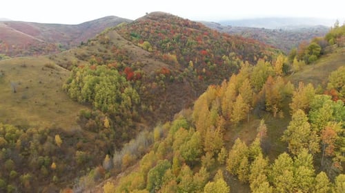 Hügel, bedeckt mit Bäumen in verschiedenen Farben von Gelb, Grün und Rot. Die Szene lässt auf einen Herbst schließen.