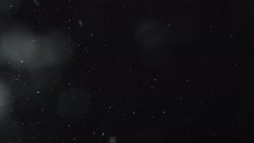 Neve de verdade. Neve destacada caindo do céu, isolada no fundo preto