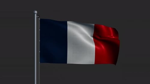 Realistic French Flag Waving Loop on a Flagpole