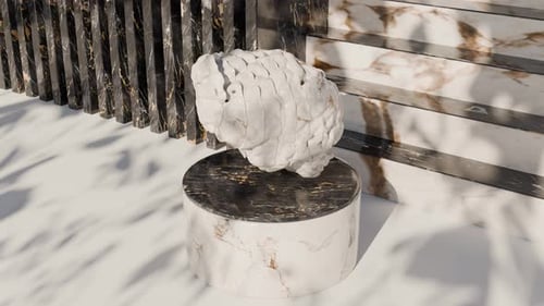 3D Segmented Marble Brain Rotating on Pedestal