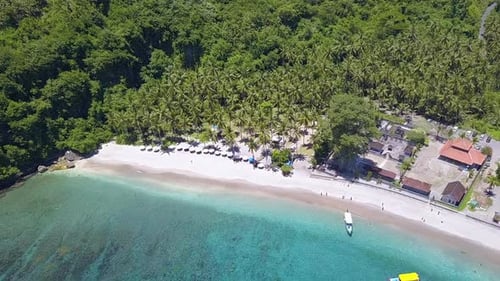 Small Lagoon Beach and Coconut Trees