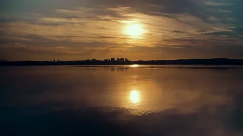 Beyond the Beach Towel: Unveiling the Unexpected Thrill of Forest Tourism