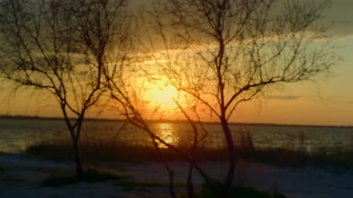 Romantic Sunset Water Horizon Shining on Orange Sky Sea Nature Landscape. Aerial