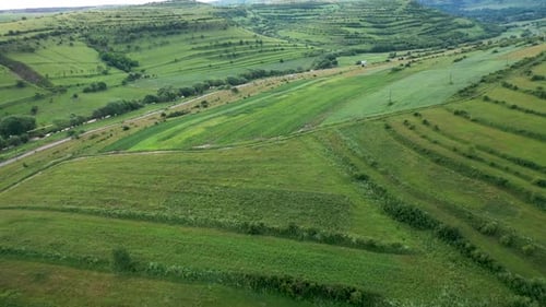 High Angle Aerial Above View of Green Meadow in the Spring, Countryside Hills