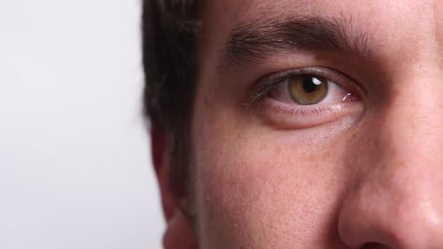 Close Up of Man's Eye on White Background