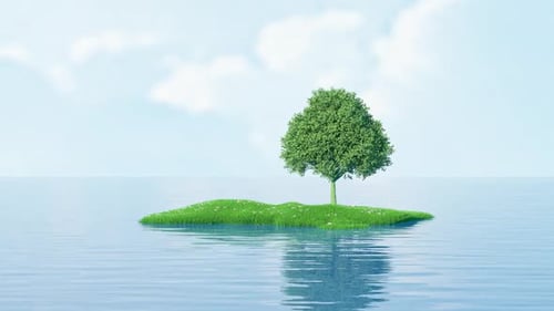 Animation of solitary island with palm tree and bush