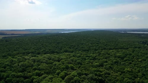 Flying over beautiful green forest in rural landscape