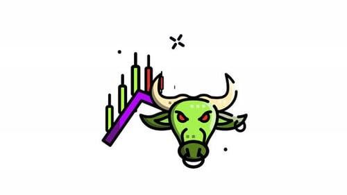 Bull Market