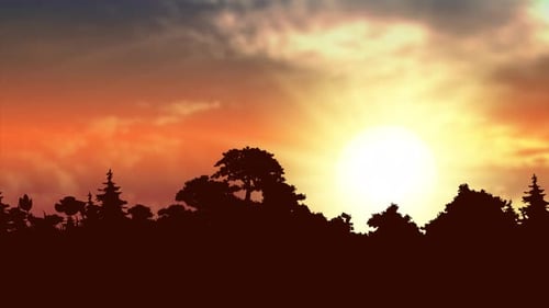 Abstract Nature Time-lapse with Silhouette Trees and Vibrant Sky