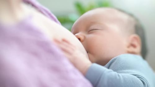 Newborn Baby Breastfeeding in Home Interior