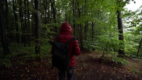 Viaje tranquilo y solitario a lo largo de un sendero boscoso húmedo con cielo nublado