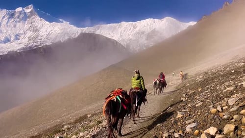 Trekkers Riding Donkeys on a Mountain Trail in the Annapurna Range. Scenic Adventure Travel