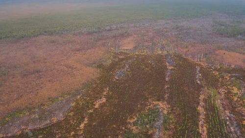 Swamp in Autumn Landscape Aerial View Belarus Europe