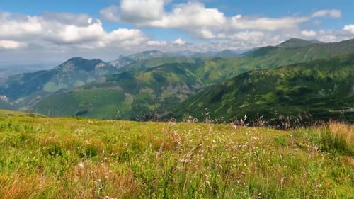 Alpine Meadow in Sunny Summer in Alps Mountains Nature Outdoor