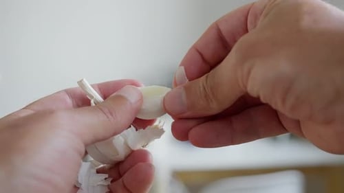Hands Peeling Garlic Clove Close-up Preparation