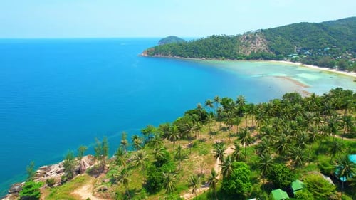 Lush green jungle that covers the island's hills