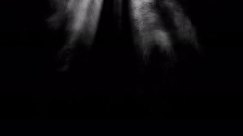 Spot light from above the frame.