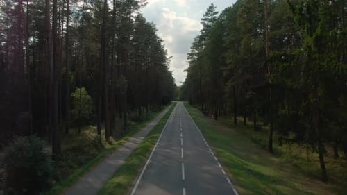 Aerial view of empty forest road in Poland