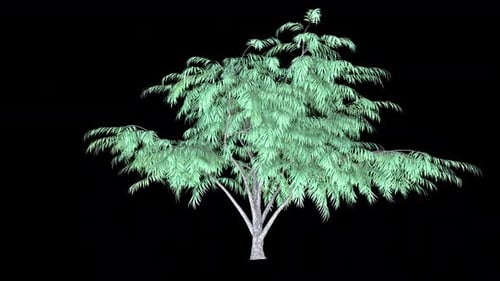 Animated Tree with Gently Swaying Leaves