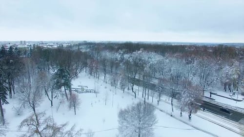 Rising above city park in winter season. Cars and public transport going by the cleaned road.