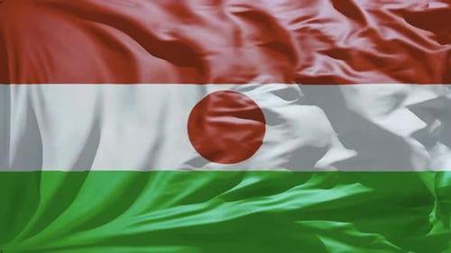 New Niger Flag