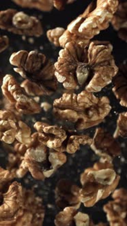 Walnuts Fly Up and Fall Down Filmed on a Highspeed Camera at 1000 Fps