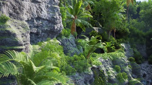 Lush Tropical Landscape with Rocky Terrain and Vibrant Greenery in Daylight