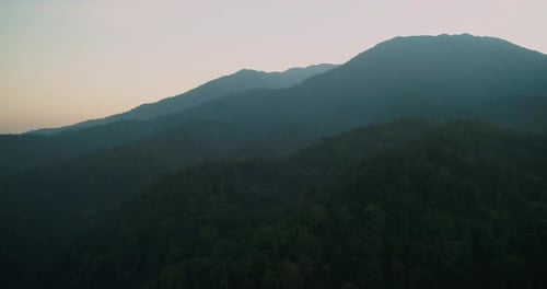 Cinematic Aerial Flyover Above Foggy Tropical Forest Hills at Sunrise
