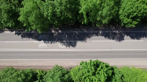 Road Through the Green Forest Aerial View Car Drive Going Through Forest Top Down View Forest View