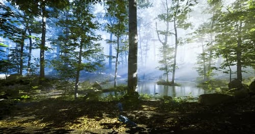 Misty Forest Landscape with Serene Pond at Early Morning Light
