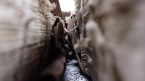 Vintage Books Pages Textures Aged Books