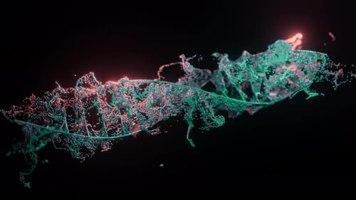 Abstrakte DNA auf schwarzem Hintergrund Magentafarbene und grüne DNA-Moleküle DNA-Moleküle in der Chromosomenwissenschaft