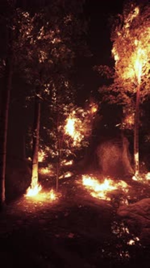 Wildfire Consumes Forest Under Dark Night Sky with Glowing Flames and Smoke