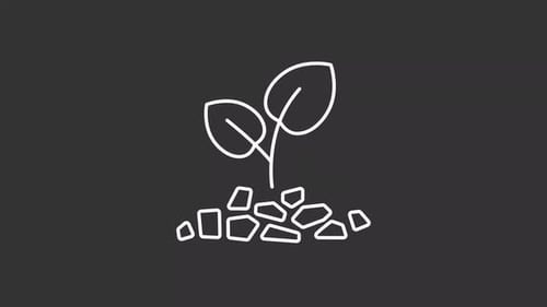 Minimalist Growing Plant Line Art Animation