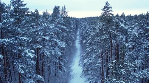 Aerial View Beautiful Snowy Winter Forest Road in Snow Wintertime Frosty Morning Travel Concept