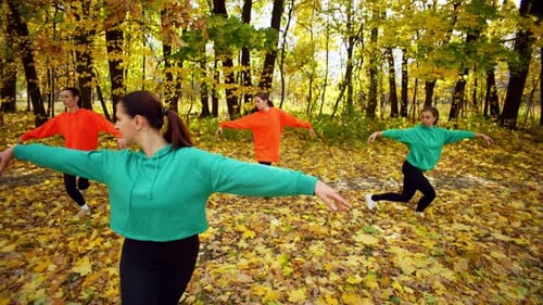 A Group of Women are Doing Fitness with Elements of Ballet in an Autumn Park
