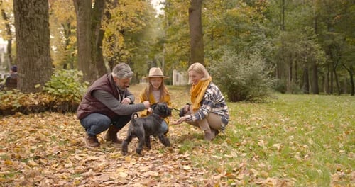Grandparents and Kid with Their Pet Walking in the Autumn Park