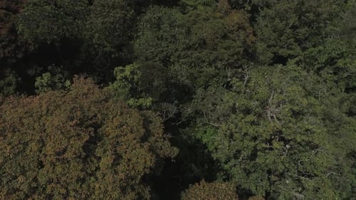 Lush Green Mountain Range Aerial View