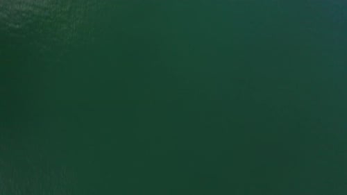 AERIAL: Top View Shot of Green Baltic Sea Revealing Seashore