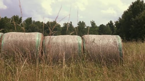 Slow Motion Video of Harvested Round Hay Bales in an Open Field