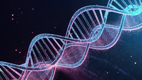 DNA Animation V7