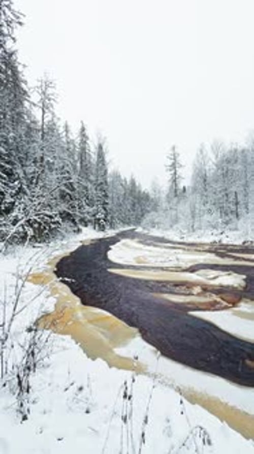 Lindulovskaya Grove an Ecological Trail a Calm Winding River in a Snowy Forest Trees Under the Snow